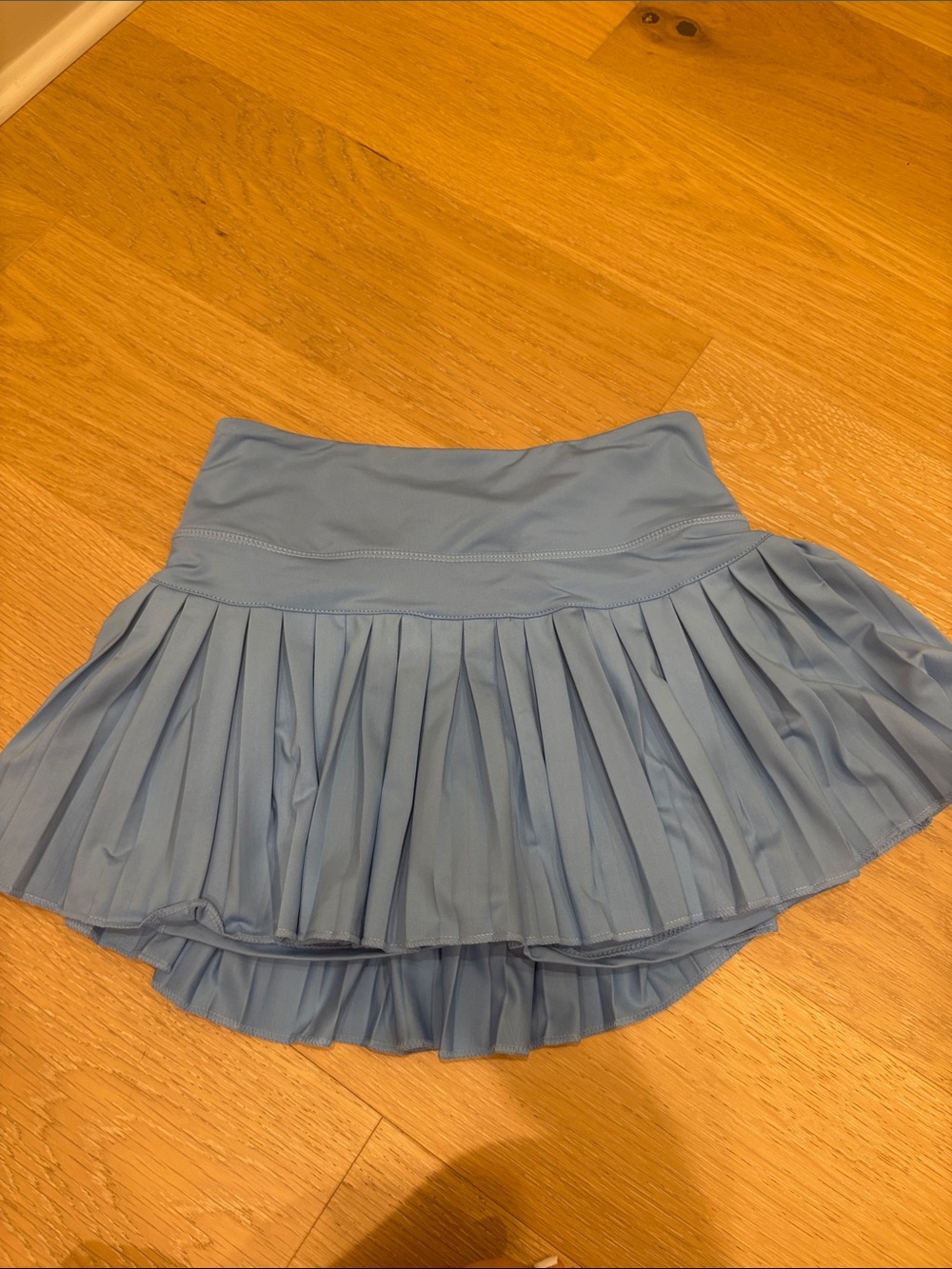 Light Blue Gold Hinge skirt. Size small.